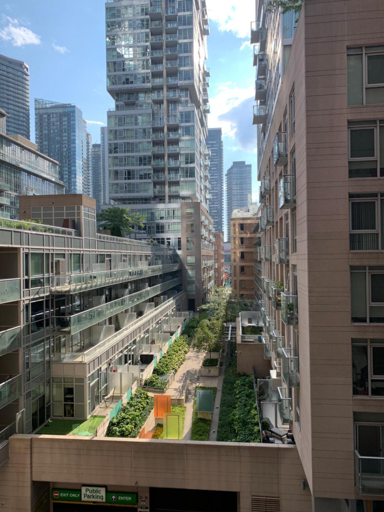 Boutique Suite Of Downtown Toronto Eksteriør bilde